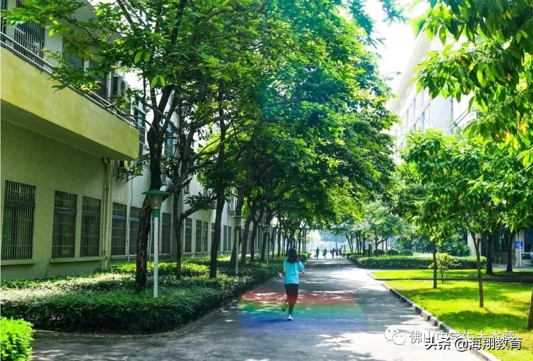 美爆了！佛山8所校园风景大片来袭！哪一间惊艳到你了？