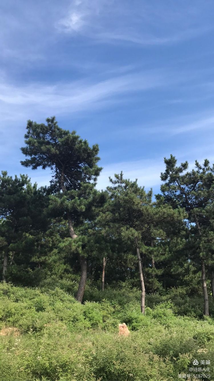 夏日登山汗如泉