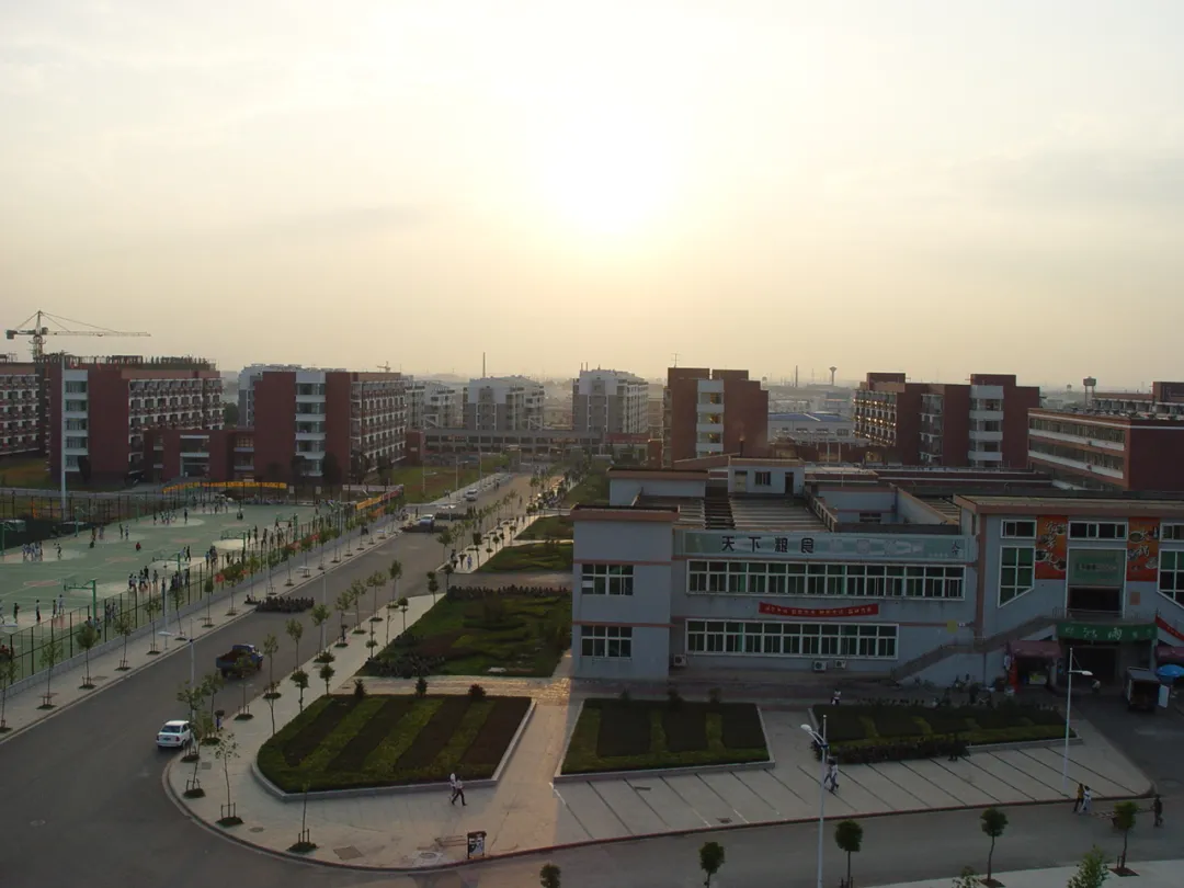 金职，生日快乐