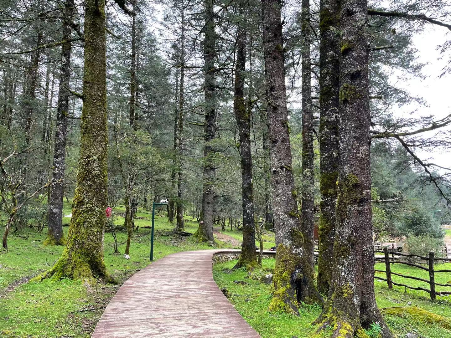 玉龙雪山山麓的蓝月谷，是蔚蓝天空送给丽江的永恒印记