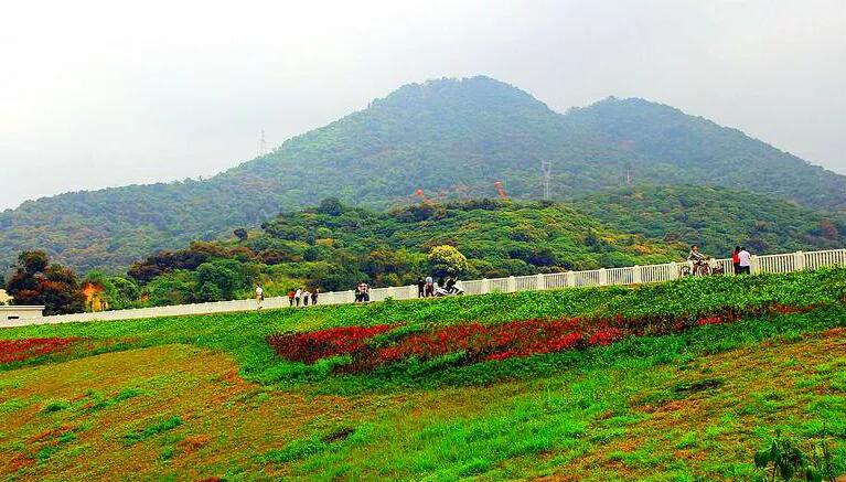 东莞7座免费山峰，景美人少故事多，可能你还没来过