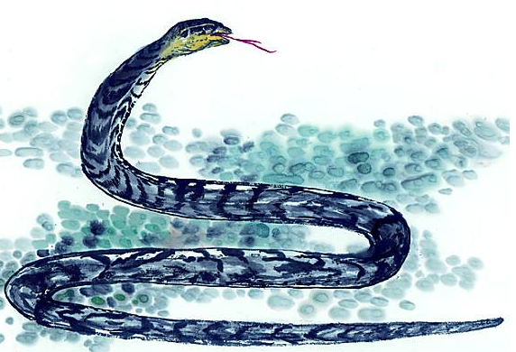 揭秘古代传说中的"走蛟"