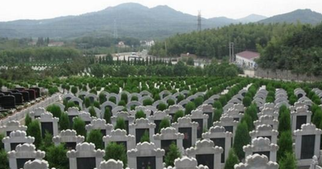 20年一交费，墓地使用年限如何界定，民政部答复