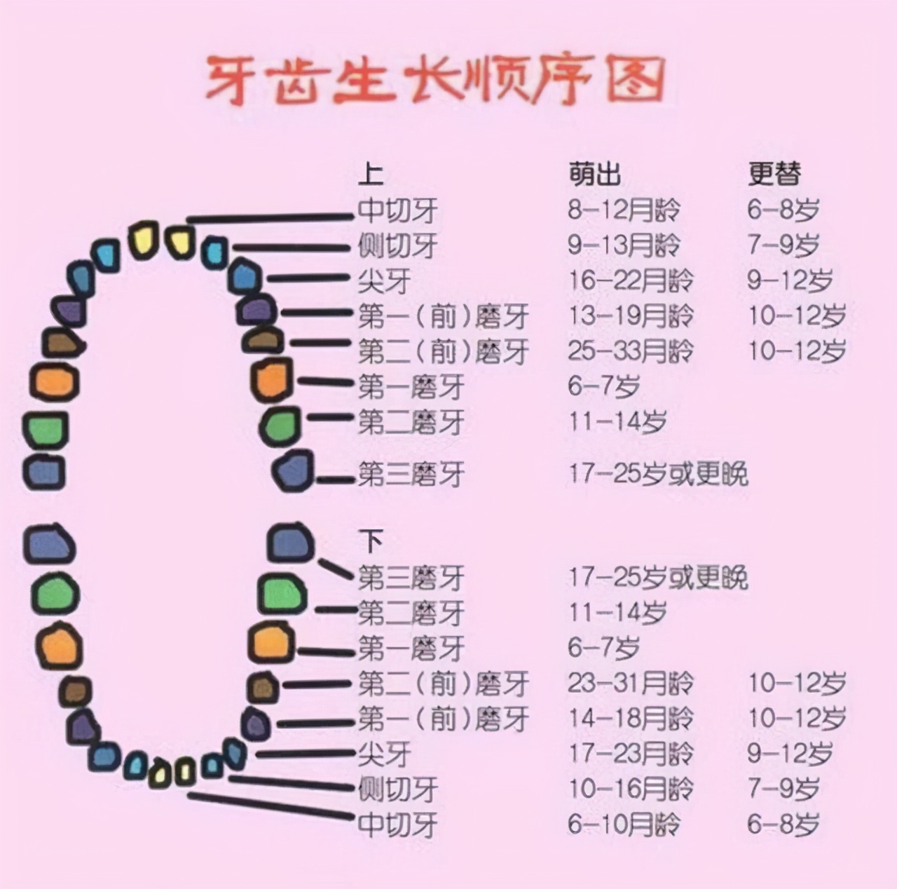 孩子几个月长牙算正常？0-3岁宝宝出牙顺序图，你家娃长对了吗