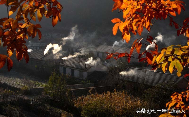 人间烟火气，百态菜市场