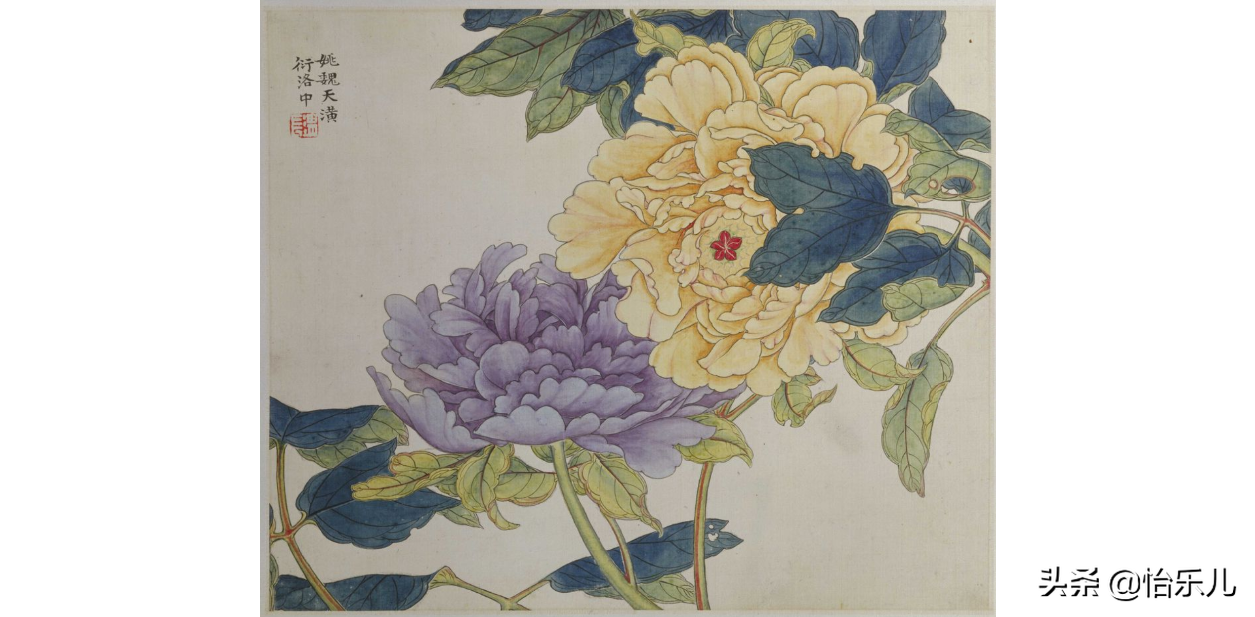 结婚证上印的这朵花不简单，被雍正称为“人间第一花”