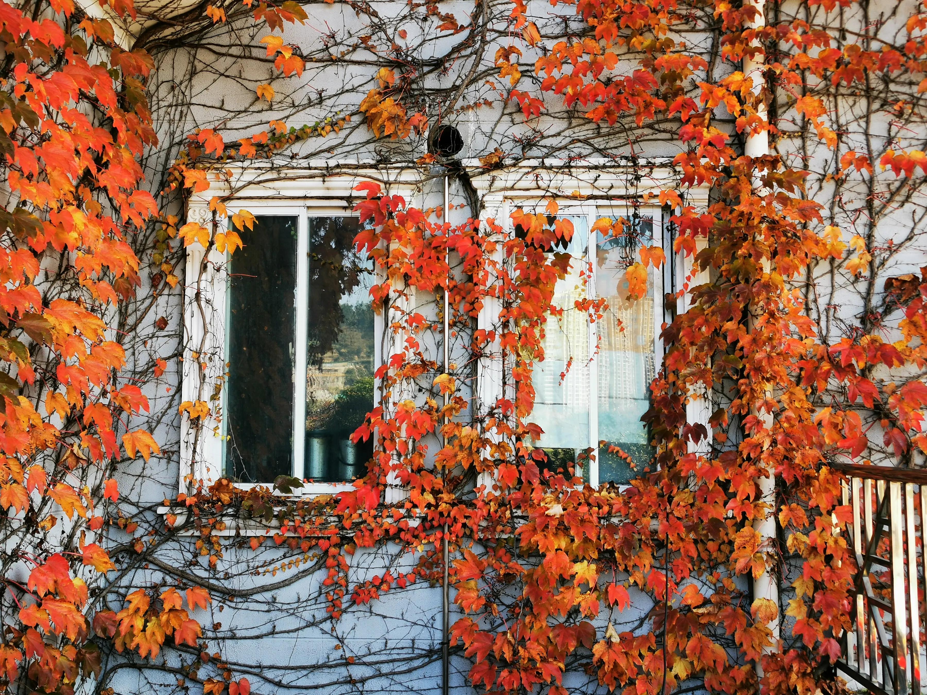 手拍世界（手机摄影平台）-群员作品集（总第733期）