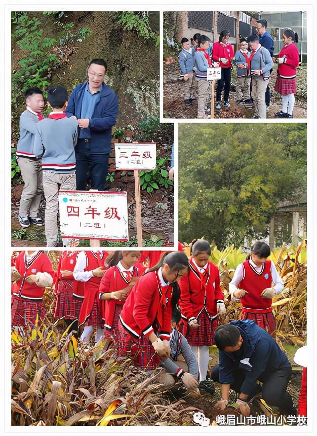 体验种植乐趣 探究中药奥秘