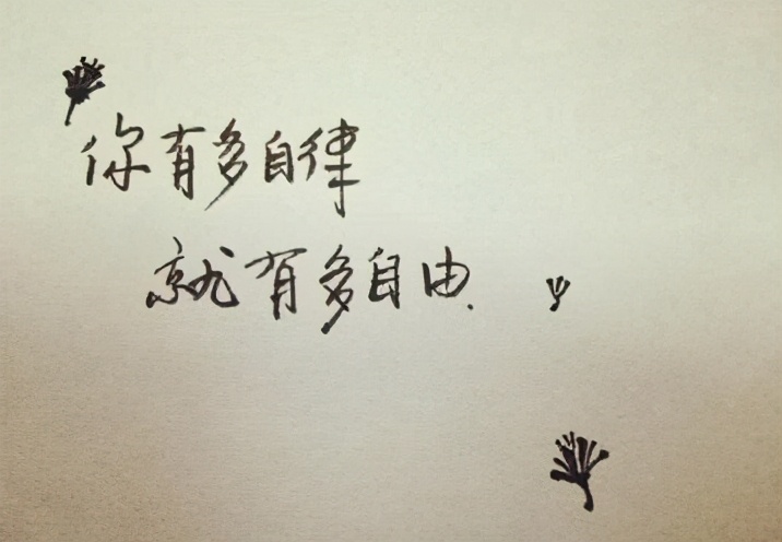 优秀作文欣赏:《让自律之花开满心田》,自律是一个人最好的修行