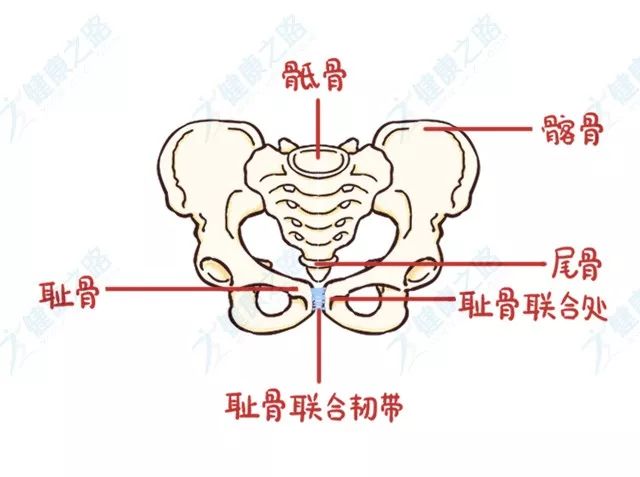 动辄上万的骨盆修复，到底有没有必要做？产后修复到底该做啥？