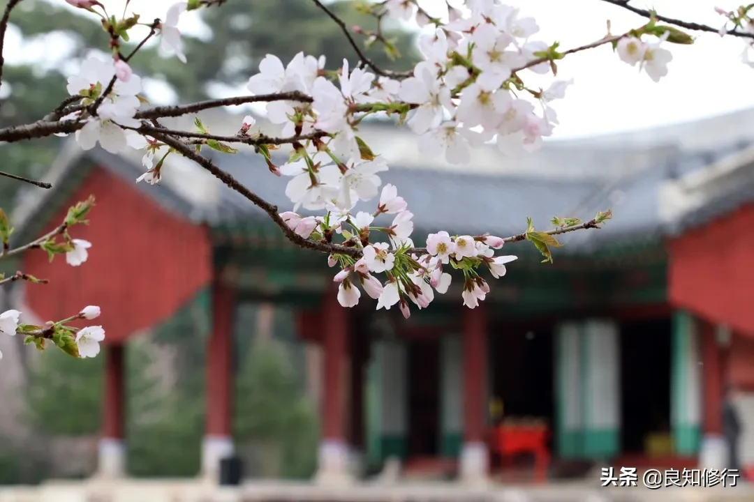 王阳明：世界是自己的，与他人无关