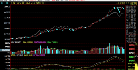 股票专业术语大全-看盘时接触的财务指标术语（1）