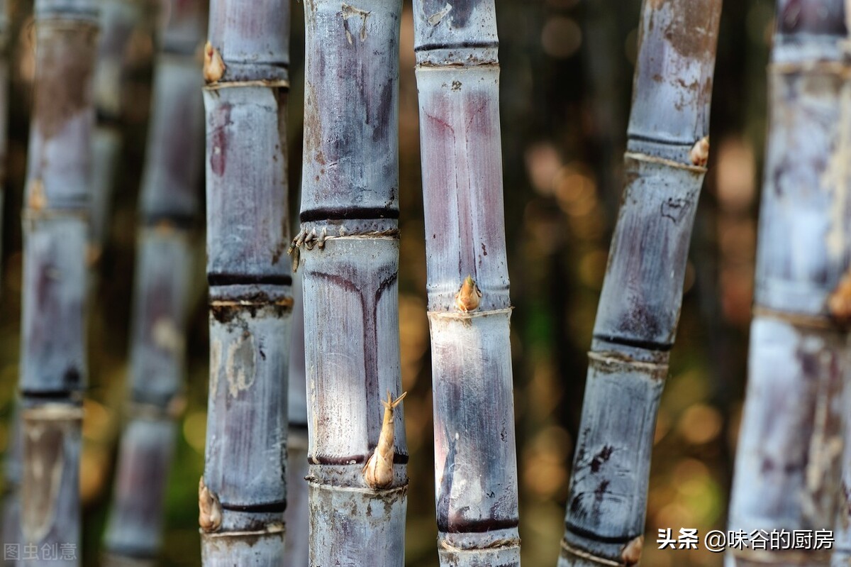 买甘蔗时，别傻傻只会挑粗的，记住4点，甘蔗鲜甜多汁，真实用