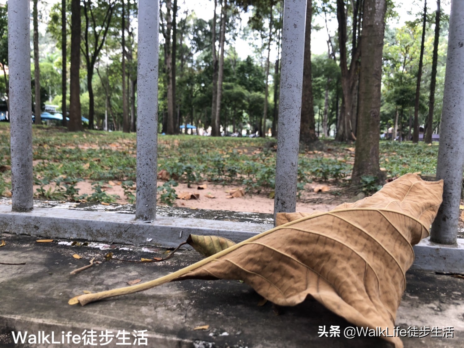 2019年再见：也许生活很难，但也可以过得很精彩