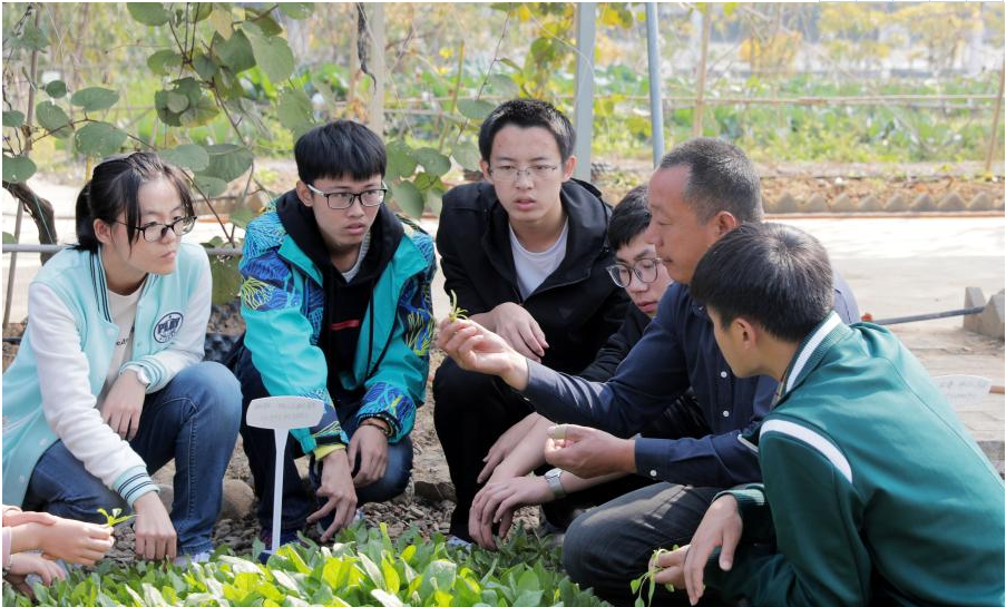 东北一所一本大学，报考人数凤毛麟角，全因为看名字像“专科”