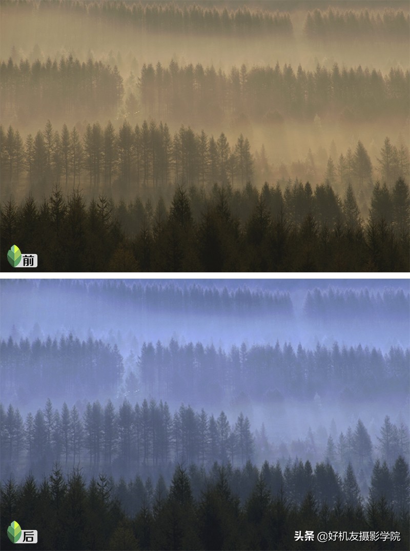 提升社交形象、玩转微商、参加摄影赛，这种手机修片技能将成主流