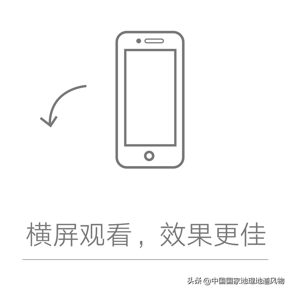 这座爱吃“驴火”的城市，究竟出了多少冠军？