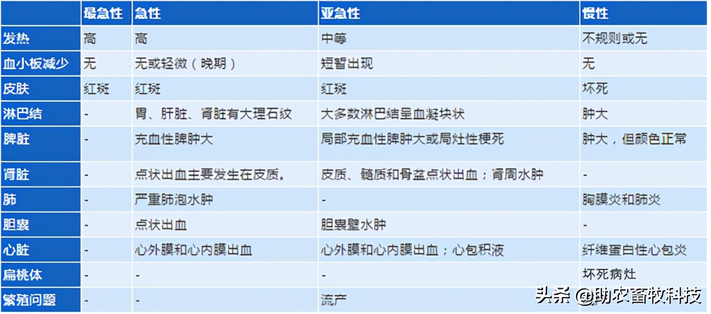 非瘟的症状及表现猪（非洲猪瘟的临床症状及快速净化技术）