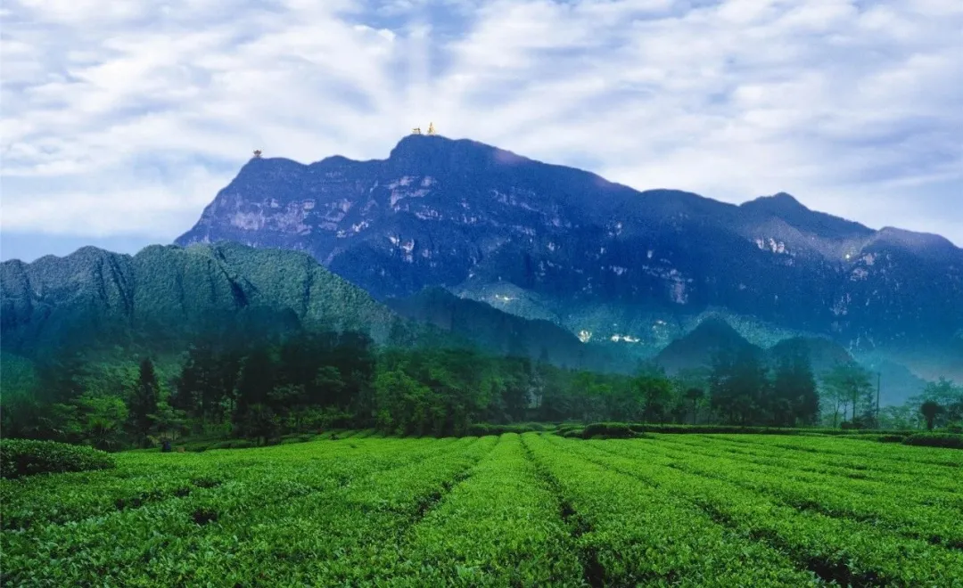 巨详细的保姆级游玩指南——峨眉山3天2夜自由行