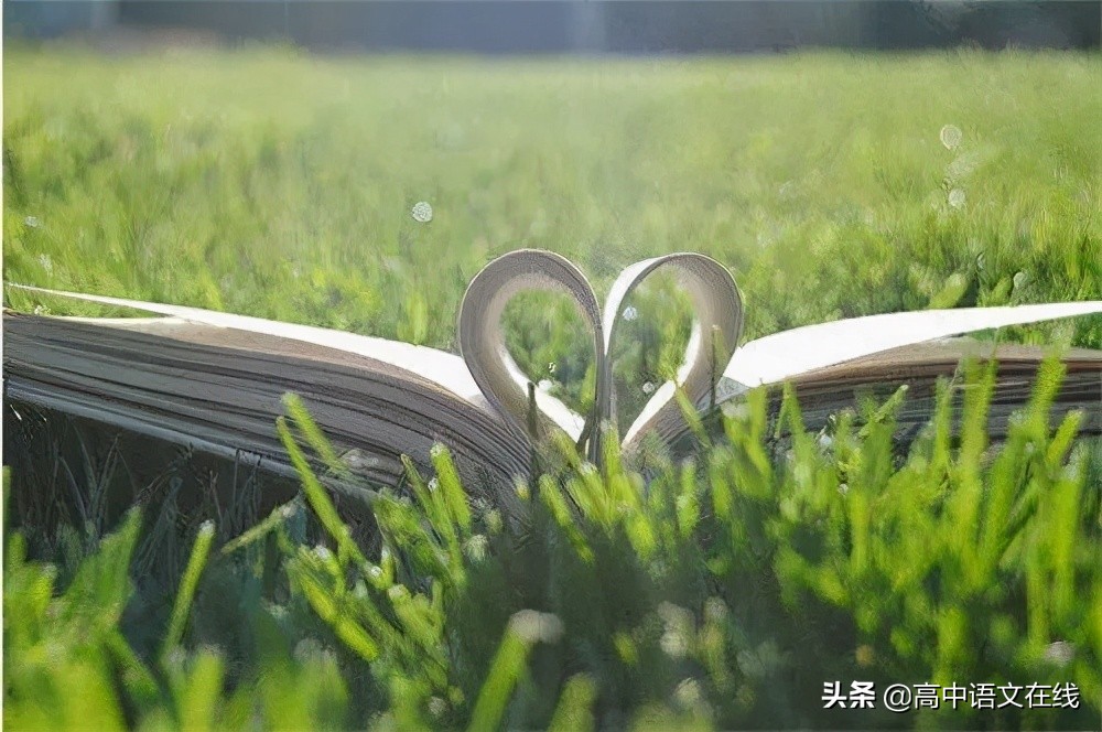 高考真题｜|遇语文原创2021全国乙卷作文名师评析及下水文6篇