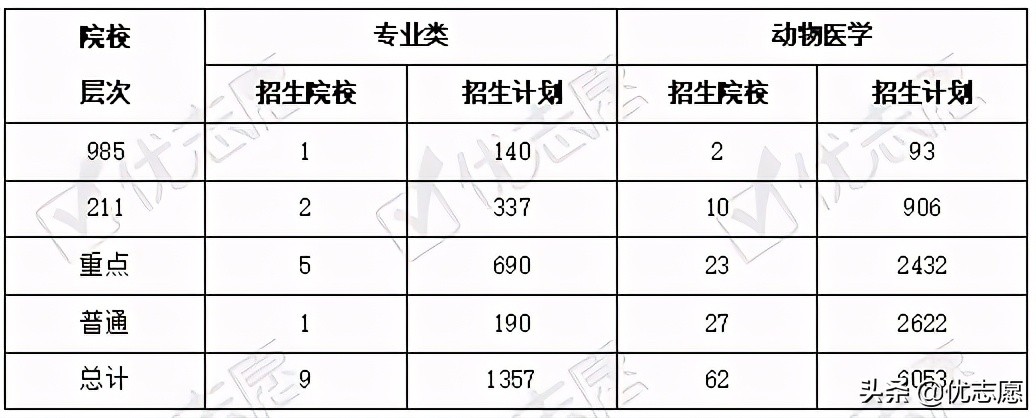 动物医学专业招生、升学、就业分析