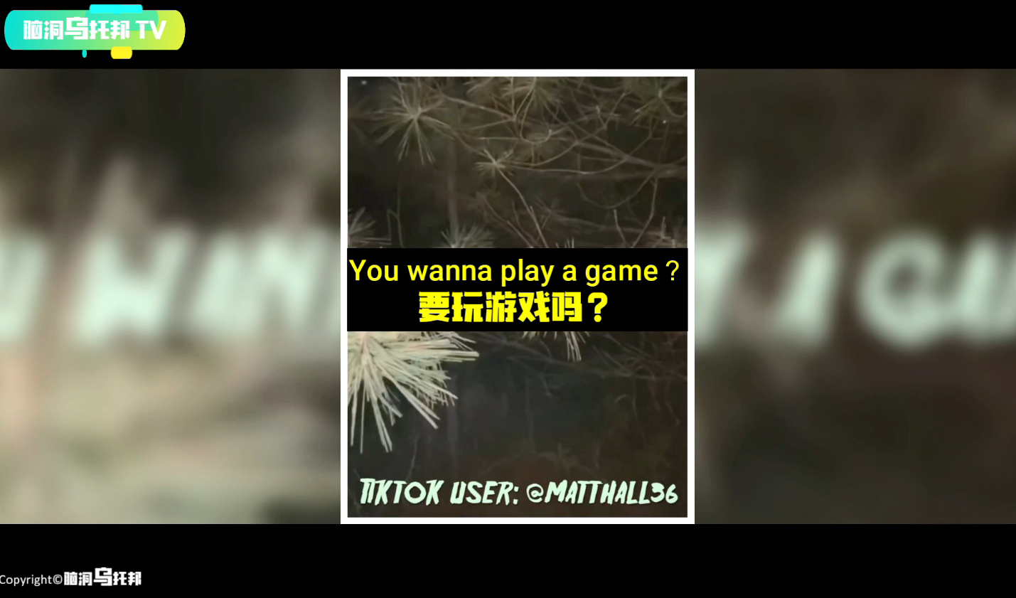 一款不该下载的超邪门手机APP，用意念连接现实后玩家有惊人发现