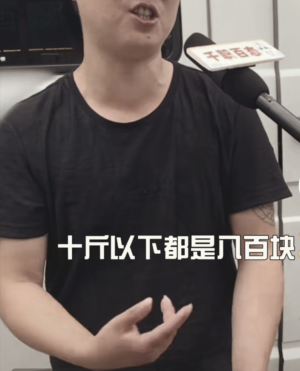 宠物殡葬：愿它们体面离开，但是谁在啃这块最后的“尸体蛋糕”？