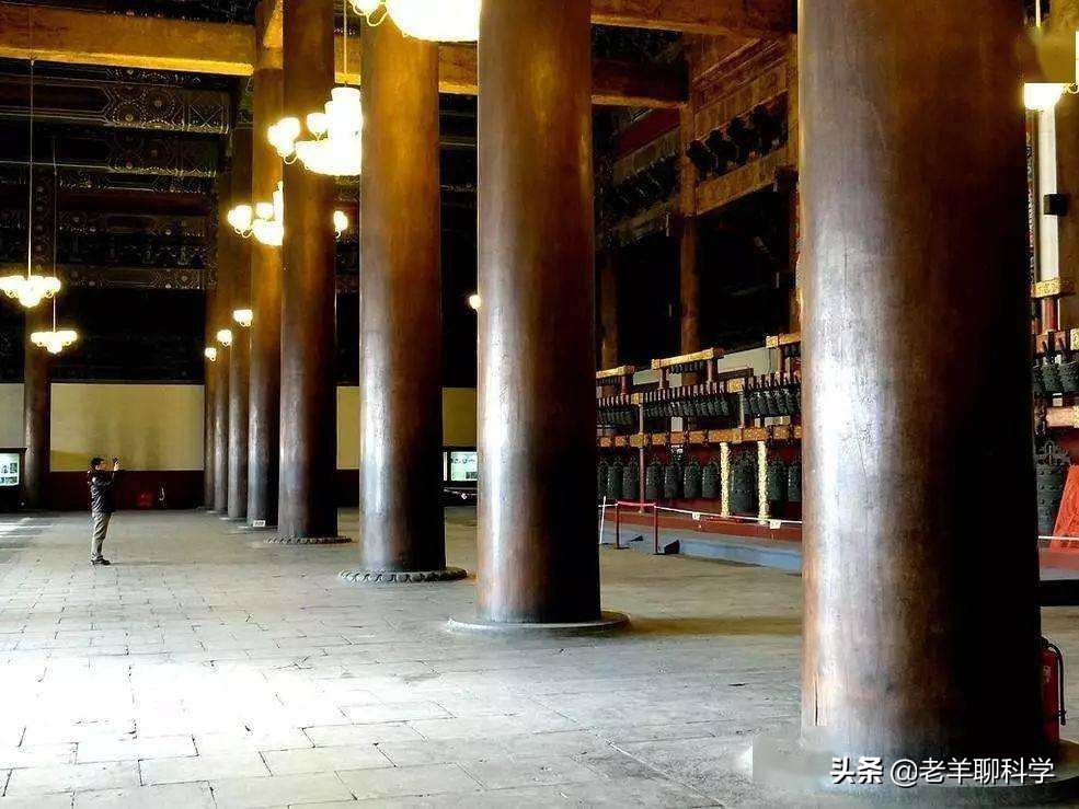 楊樹苗多少錢一棵,小葉黃楊樹苗多少錢一棵