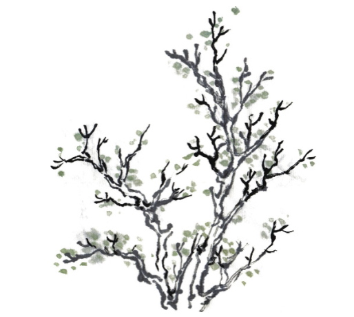 写意山水画中树枝的绘画技法与基础入门教程