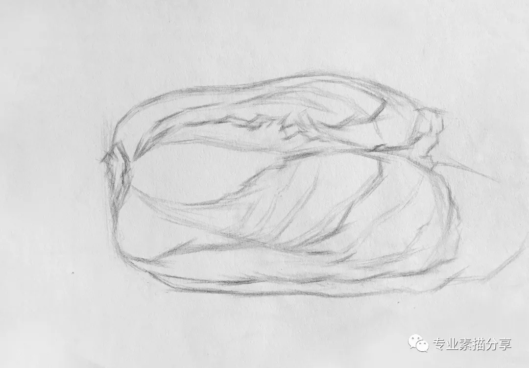 静物｜白菜画法与步骤