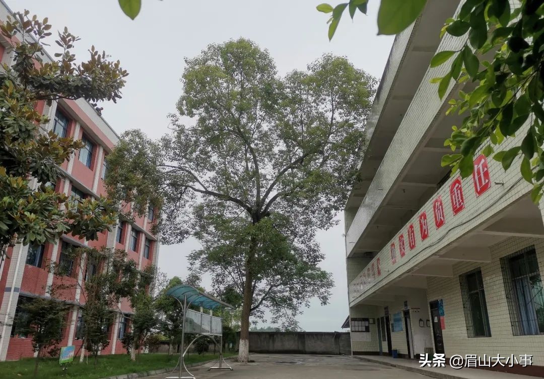 眉山仁寿龙正中学2020年普通高中招生简章来啦