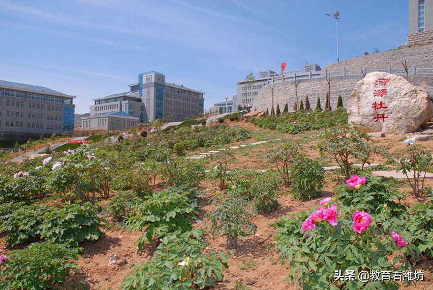 「教育看潍坊」  潍坊护理职业学院