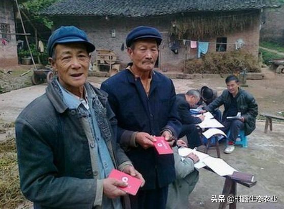 新农保每年只交200元，连缴15年，60岁后每月领多少？