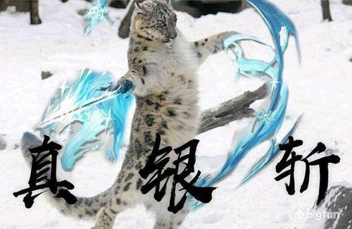 「明日方舟」代理指挥为什么会出错