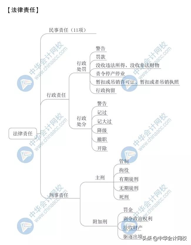 2020年最新版思维导图！初级考生抢着下载