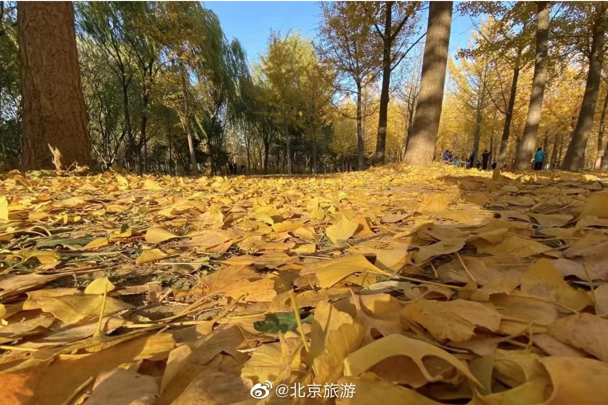 北京附近旅游景点推荐(北京市内景点推荐)