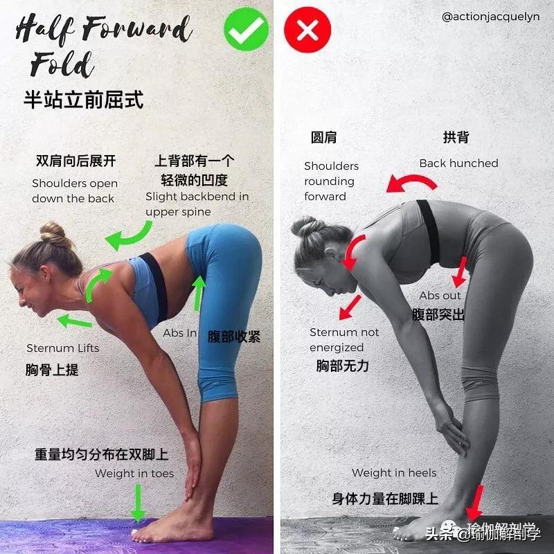 28个常见瑜伽体式“正误对比”图，初学者尤其要注意！（收藏级）
