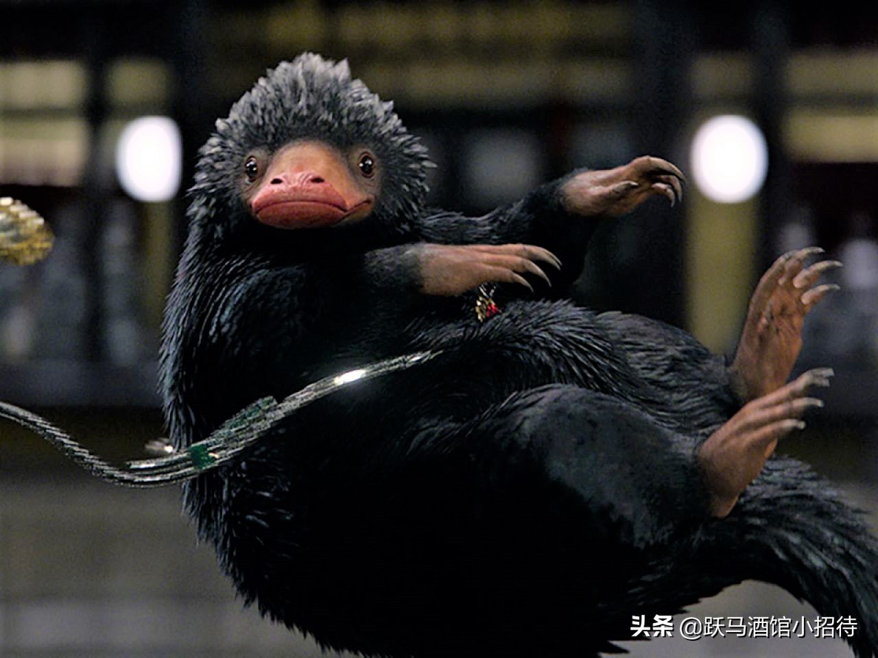 给麻瓜的《神奇动物百科》，魔法世界的动物到底有多神奇（长文）