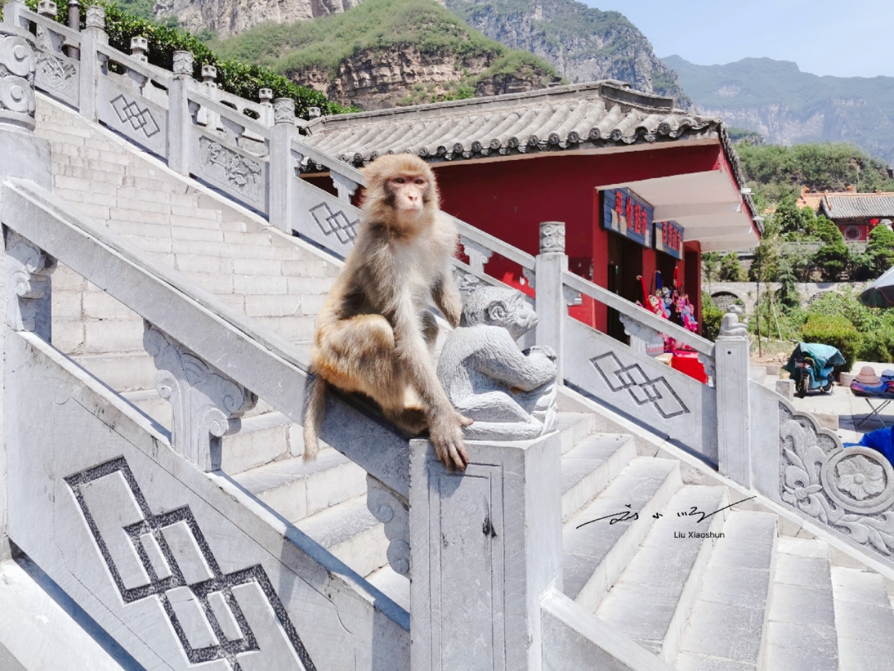河南猕猴山在哪里?_河南猴山风景区 - 密云旅游