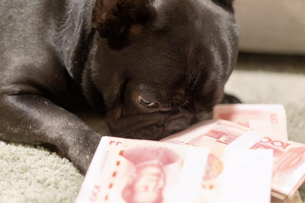 贾会计还是真精明？无差别收割200亿，他下周真的会回国吗？