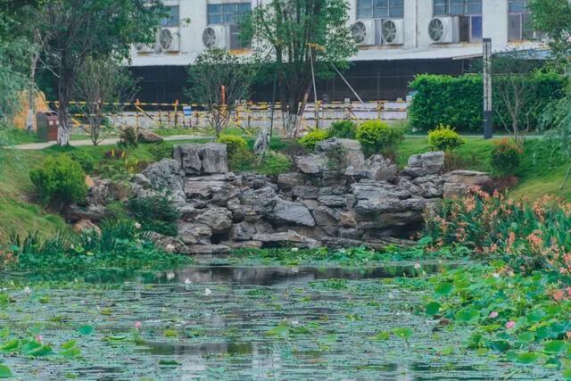 深圳十大免费特色的湖泊公园