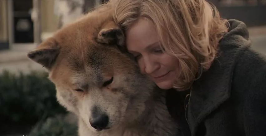 《忠犬八公的故事》：一个关于忠诚、温情和爱的真实故事