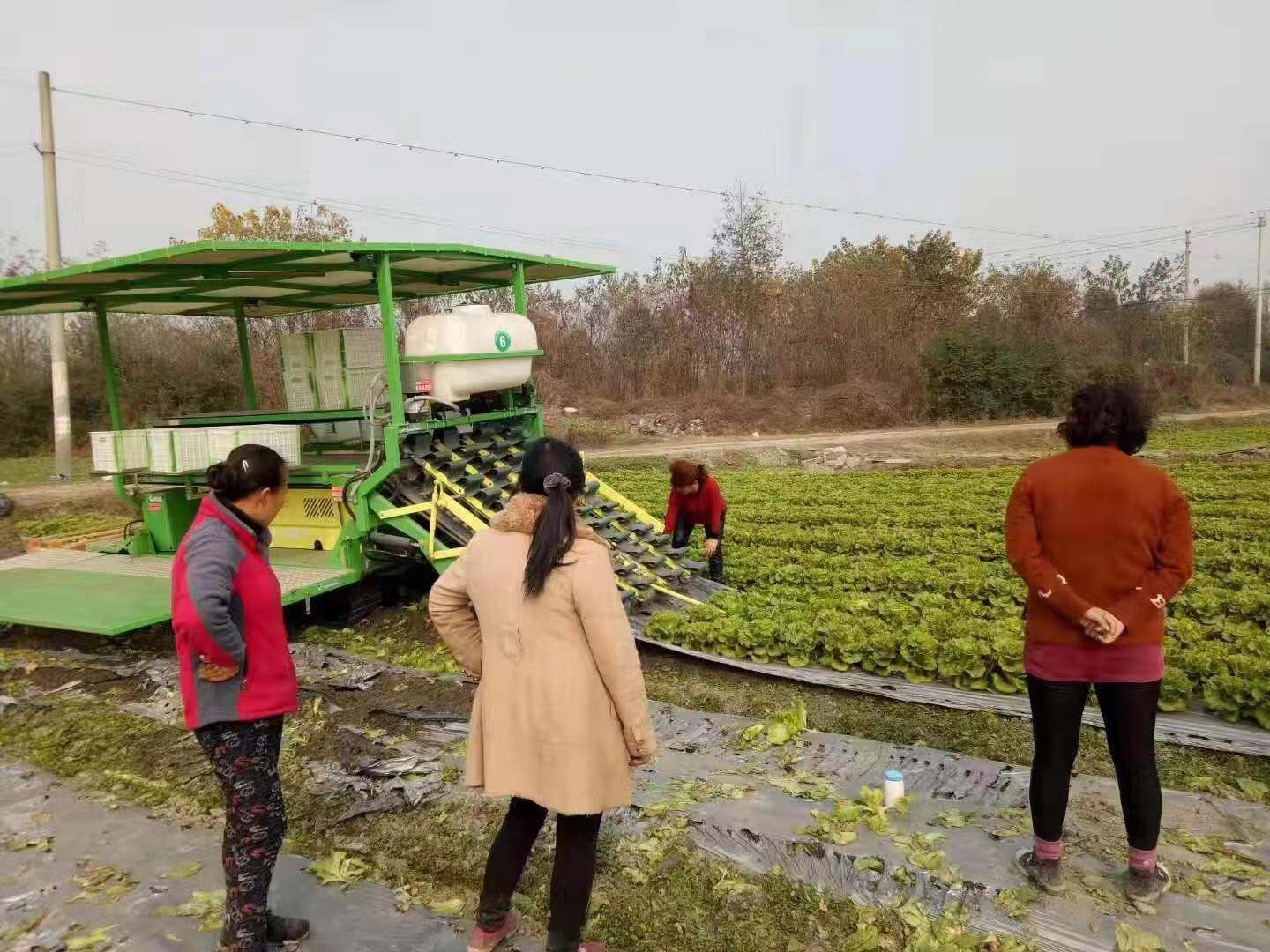 成都郫都区：为乡村振兴植入现代智慧农机装备“硬核”