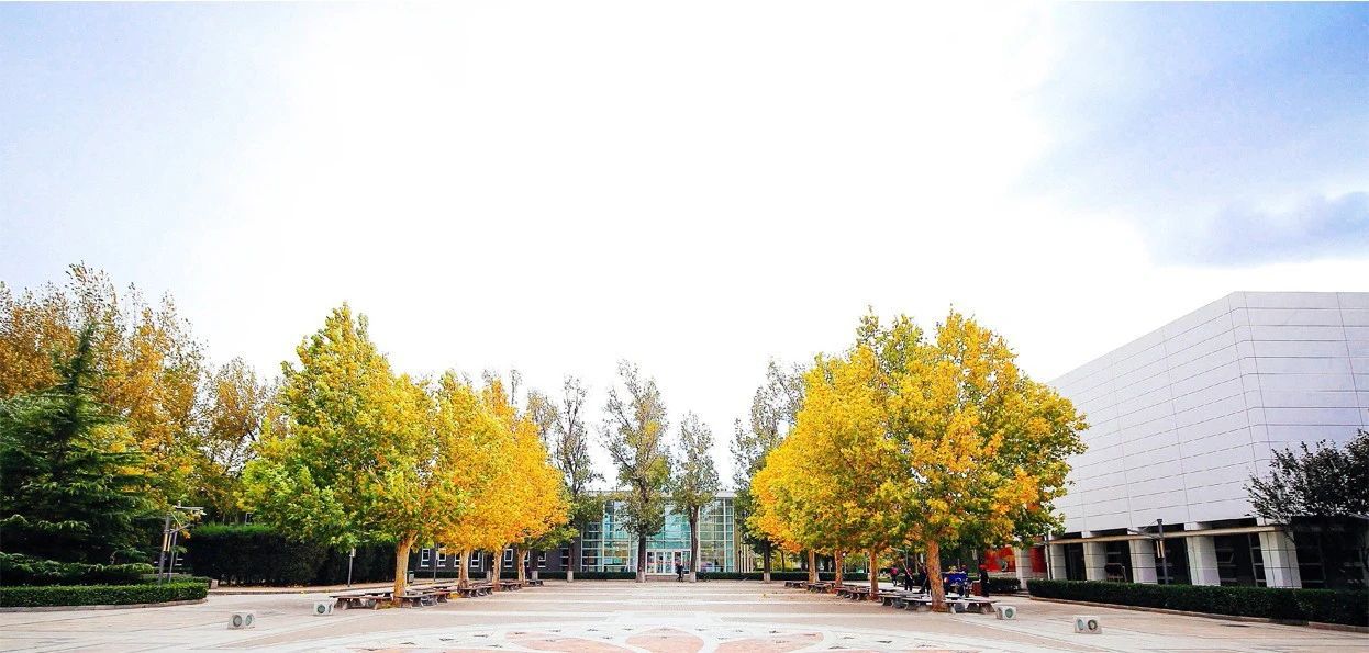 北京小升初热议：好学校竟如此“无耻”，一下把好学生都抢跑了