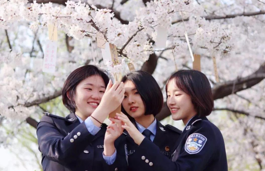 江苏这所大学很低调，名气不大，但毕业多数拥有“铁饭碗”