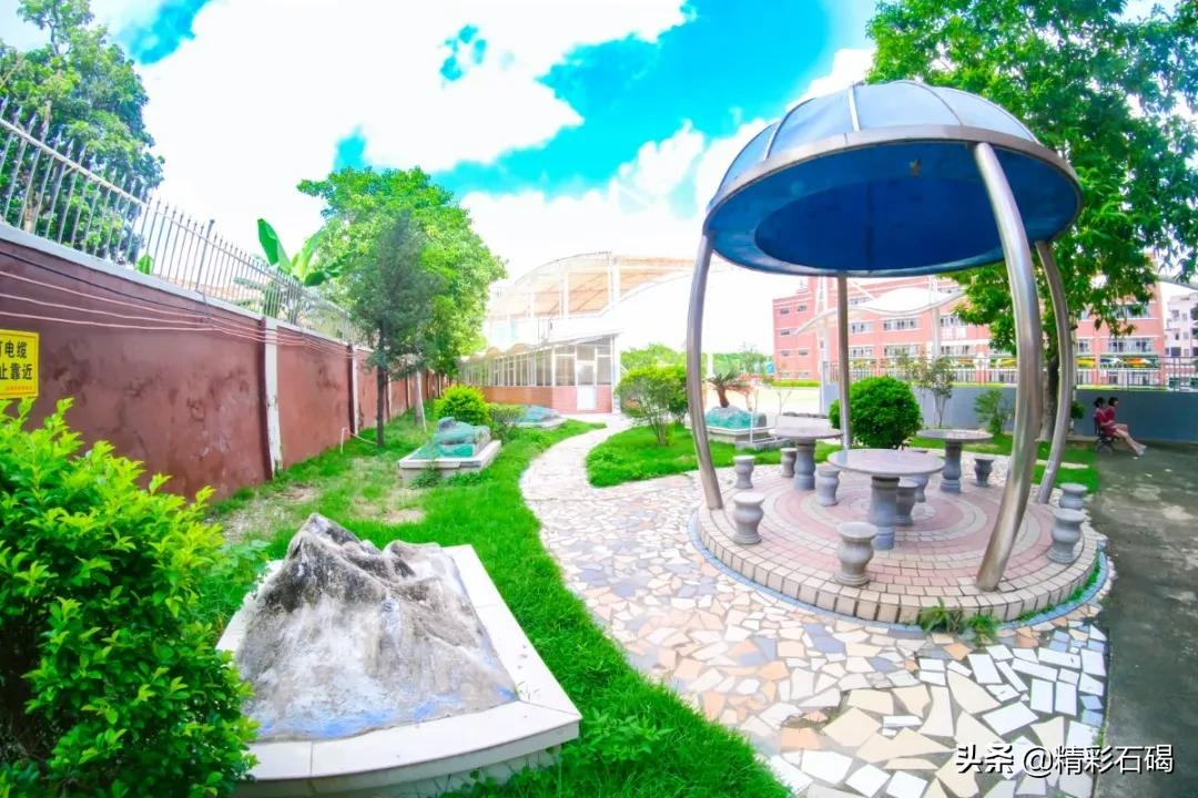 石碣四海学校2021年秋季学期招生简章来了~