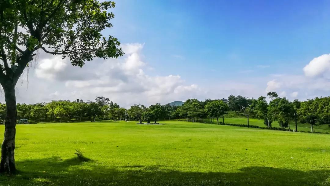 深圳海上田園門票多少錢(深圳溜娃必去的50個主題公園) - 價格百科