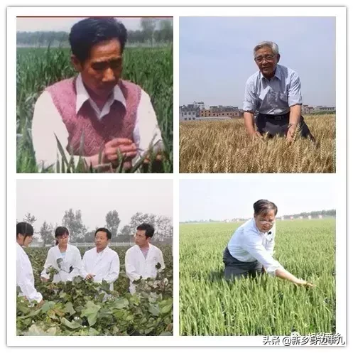 这里是河南科技学院！