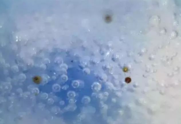 为什么宋元明清瓷器釉下，会普遍出现气泡？