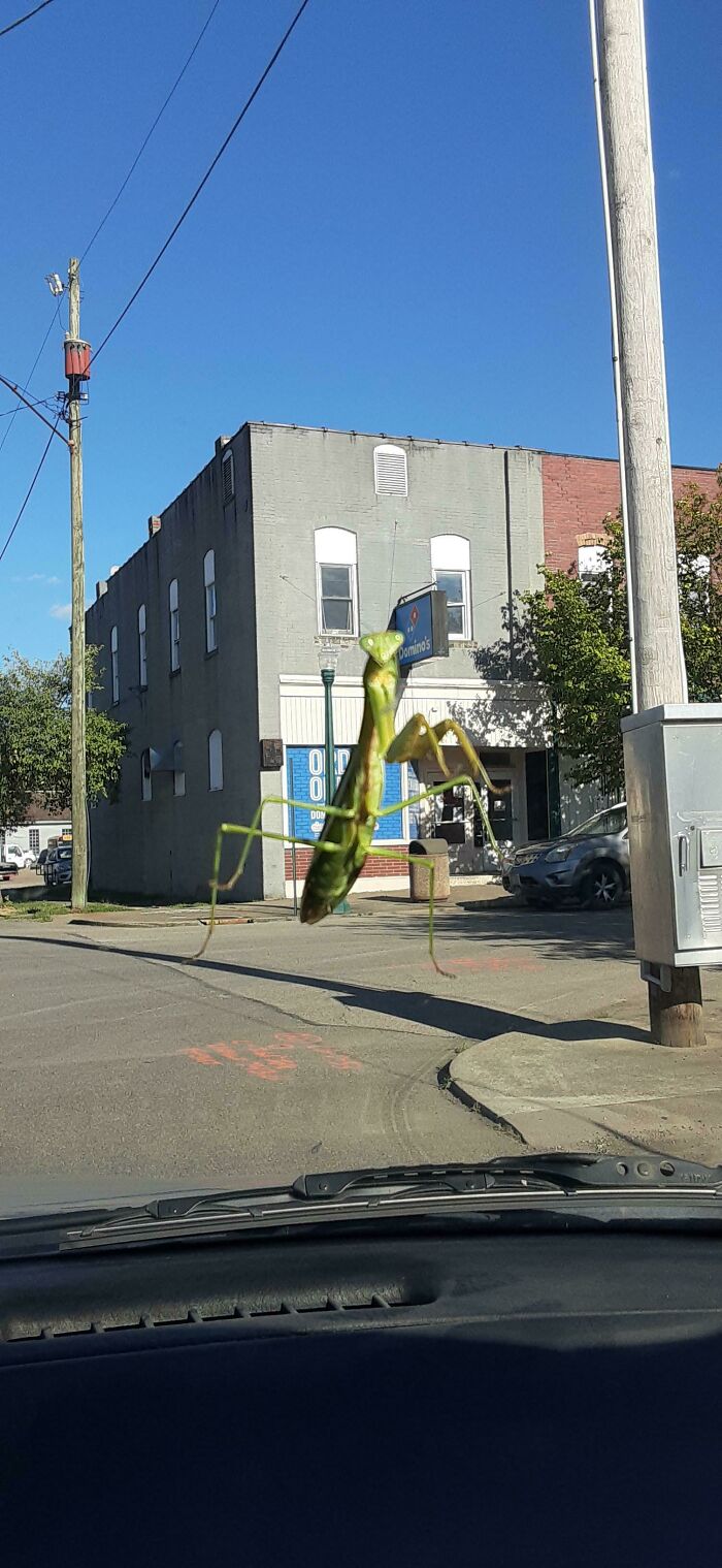 32张第一眼会看错的照片,完全没有被ps:看完不相信自己的眼睛了